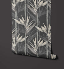 Load image into Gallery viewer, Amazonia