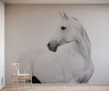 Load image into Gallery viewer, Blanco