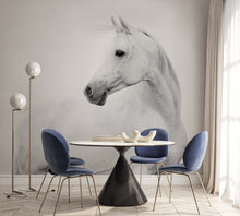 Load image into Gallery viewer, Blanco