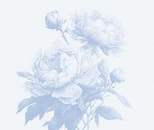 Load image into Gallery viewer, Doris