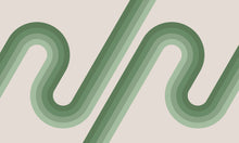 Load image into Gallery viewer, Carson