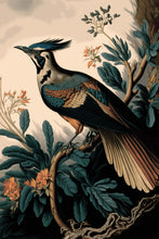 Load image into Gallery viewer, Cecil