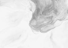 Load image into Gallery viewer, Fractal