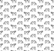 Load image into Gallery viewer, Graze