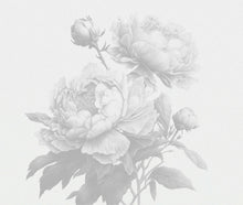 Load image into Gallery viewer, Doris