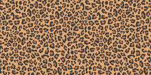 Load image into Gallery viewer, Jules