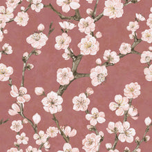 Load image into Gallery viewer, Junta