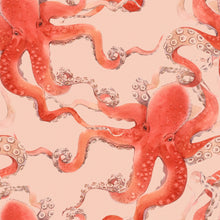 Load image into Gallery viewer, Kos