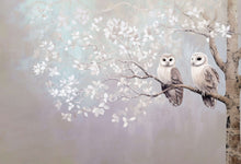 Load image into Gallery viewer, Otus
