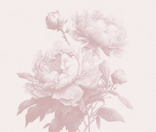 Load image into Gallery viewer, Doris