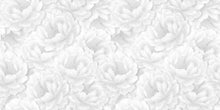 Load image into Gallery viewer, Selene