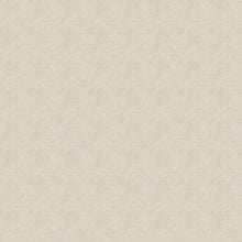 Load image into Gallery viewer, Vernor