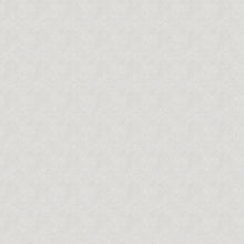 Load image into Gallery viewer, Vernor