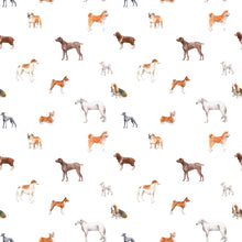 Load image into Gallery viewer, Walter