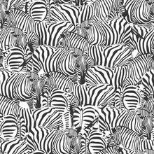 Load image into Gallery viewer, Zolta