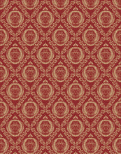 Load image into Gallery viewer, Kang