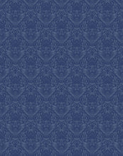 Load image into Gallery viewer, Regus