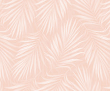 Load image into Gallery viewer, Areca