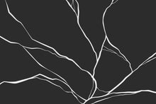 Load image into Gallery viewer, Azami