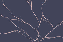 Load image into Gallery viewer, Azami