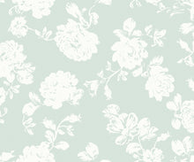 Load image into Gallery viewer, Cast