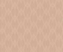 Load image into Gallery viewer, Venn