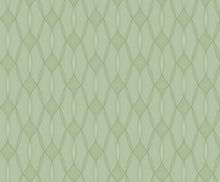 Load image into Gallery viewer, Venn