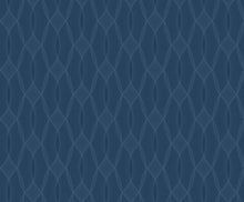 Load image into Gallery viewer, Venn