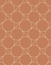 Load image into Gallery viewer, Focal