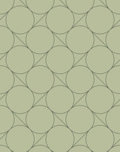 Load image into Gallery viewer, Focal