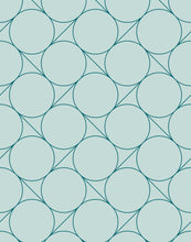 Load image into Gallery viewer, Focal