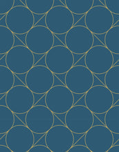 Load image into Gallery viewer, Focal