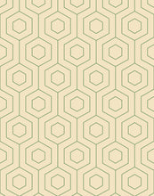 Load image into Gallery viewer, Hive