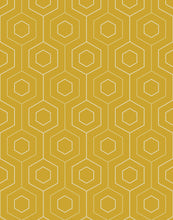 Load image into Gallery viewer, Hive