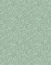 Load image into Gallery viewer, Olea