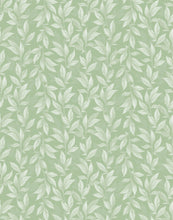 Load image into Gallery viewer, Vine