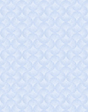 Load image into Gallery viewer, Shell