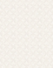 Load image into Gallery viewer, Shell