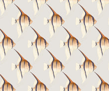 Load image into Gallery viewer, Tetra