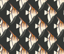 Load image into Gallery viewer, Tetra