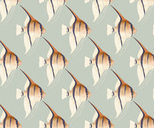 Load image into Gallery viewer, Tetra