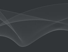 Load image into Gallery viewer, Vector