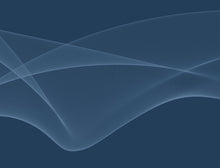 Load image into Gallery viewer, Vector