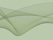 Load image into Gallery viewer, Vector