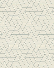 Load image into Gallery viewer, Trive