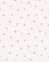 Load image into Gallery viewer, Twinkle