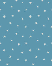 Load image into Gallery viewer, Twinkle