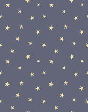 Load image into Gallery viewer, Twinkle