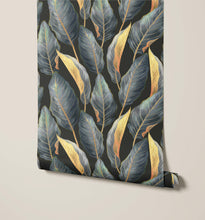 Load image into Gallery viewer, Calathea
