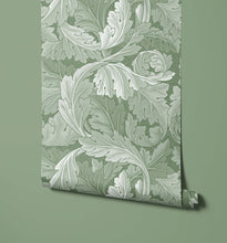 Load image into Gallery viewer, Acanthus
